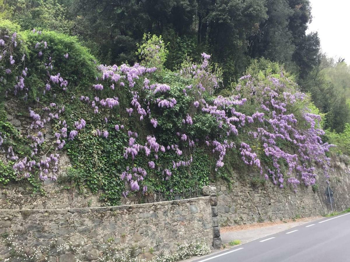 La Piccola Oasi Toscana Appartement Bagni di Lucca Buitenkant foto